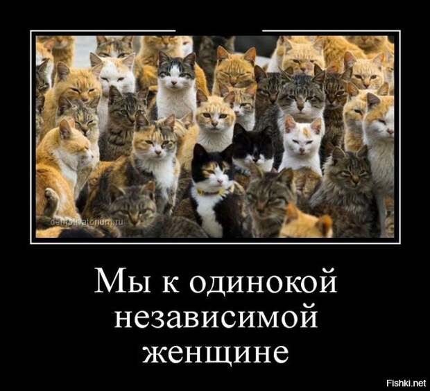 Подборка демотиваторов демотиваторы, прикол, юмор
