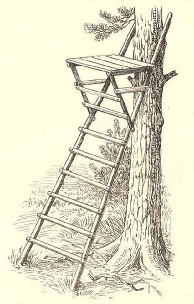 Лабаз что это. Лабаз засидка для охоты на дереве. Приставной мобильный лабаз для охоты. Лабаз засидка на кабана. Лабаз для охоты на кабана на дереве.