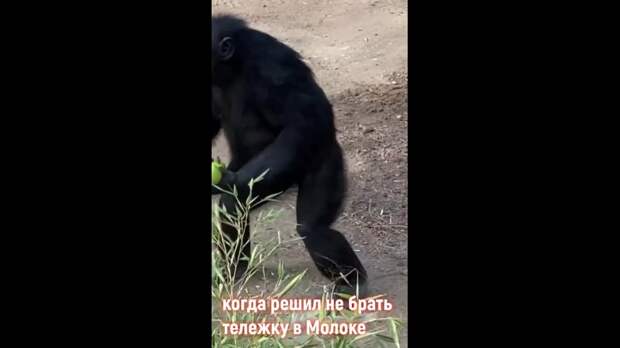 Video: MovaviClips_Video_20250427-142802.mp4