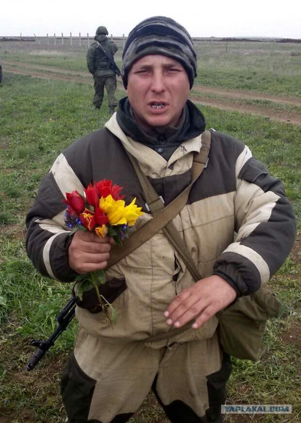 Гордость России: Путин наградил погибших в Сирии военных . Уничтожение Су-24: американский генерал встал на сторону России Протест у посольства Турции в Москве: здание закидали камнями и яйцами