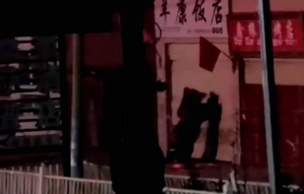 Два голодных медведя ограбили китайский ресторан и попали на видео