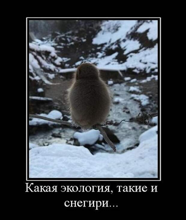 Зимние демотиваторы Зимние демотиваторы