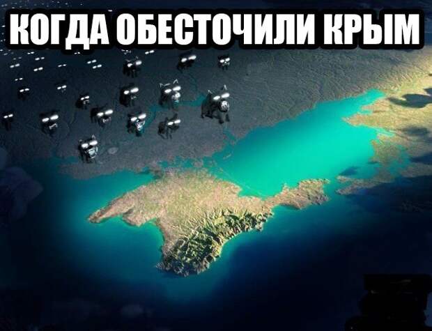 FGFQzExM0oY.jpg