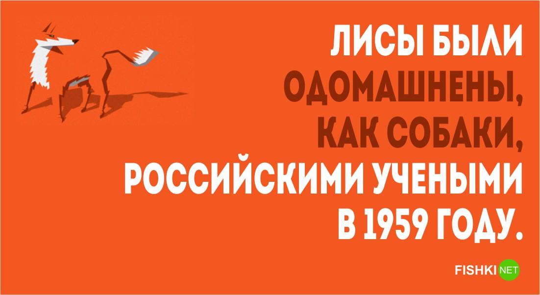 28 фактов о России которые известны Америке люди, россия, факты