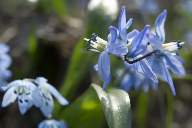 В Кузбасс возвращается жара в +22 градуса
