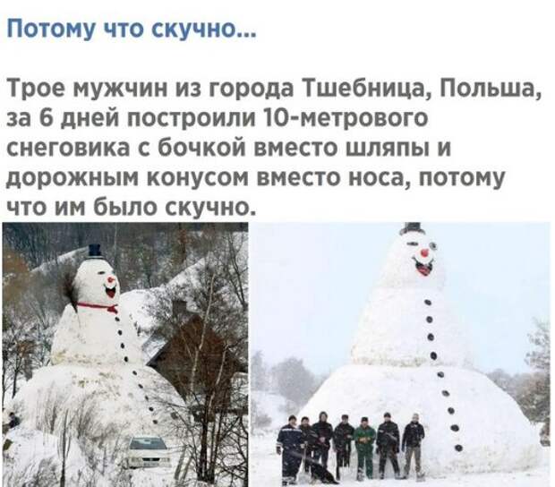 Подборка веселых надписей к фотографиям и картинкам (10 фото)