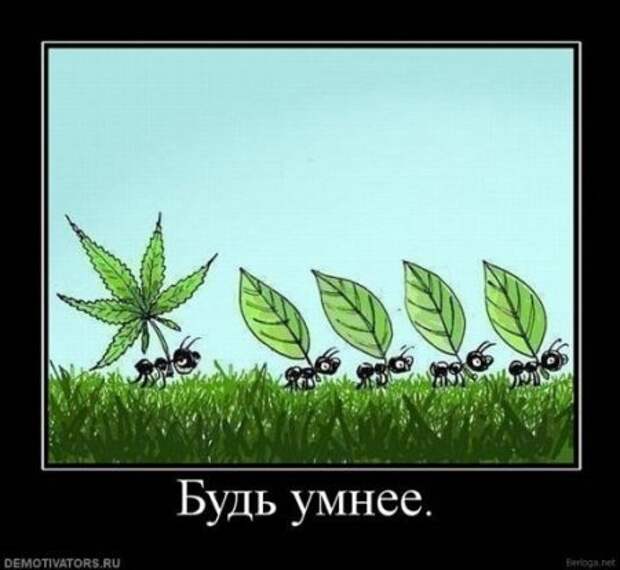 Смешные демотиваторы, веселые картинки с надписями!