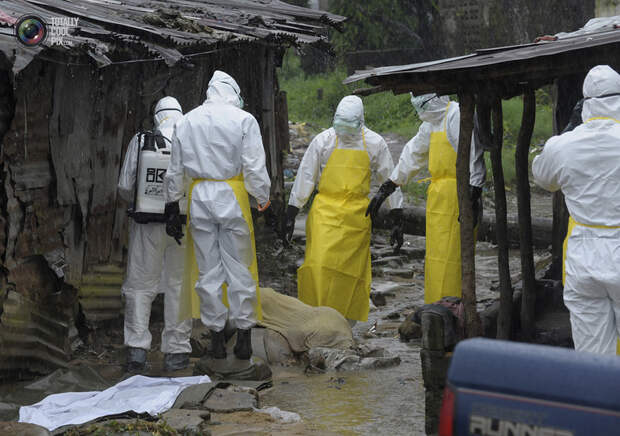 HEALTH-EBOLA/LIBERIA