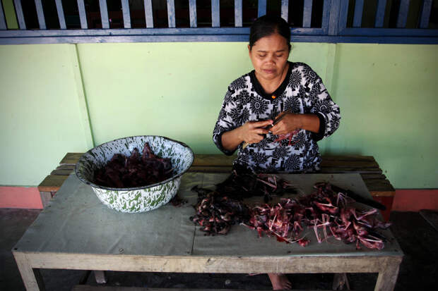 Bats Consumed For Good 24 Поедая мясо летучих мышей