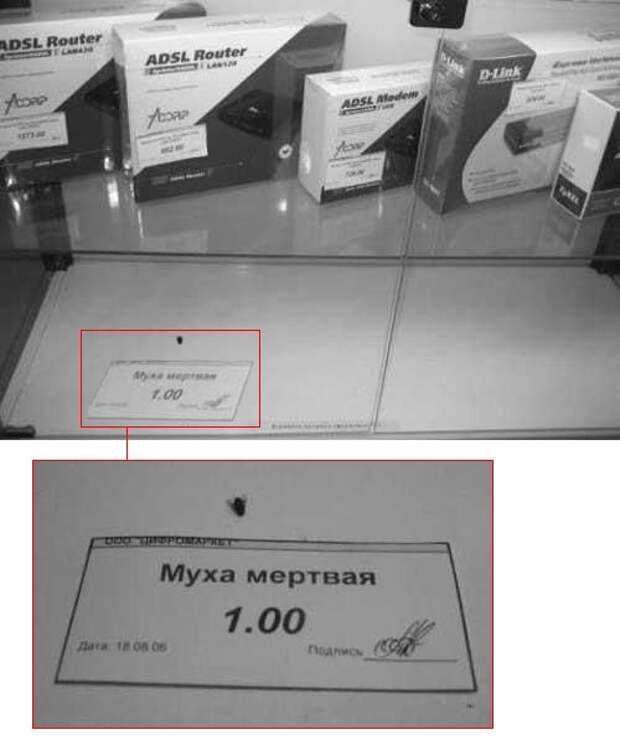 Наборчик баянчиков из прикольных надписей и проч.