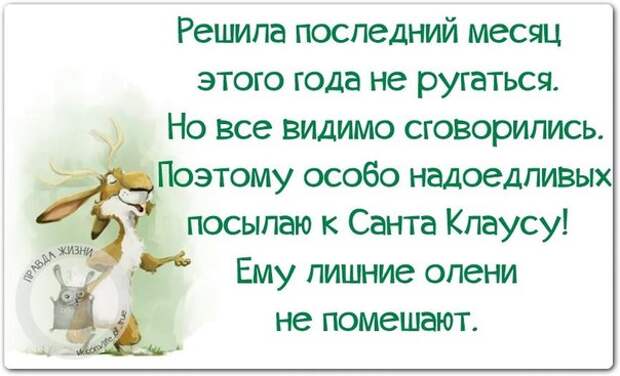 Решила последний месяц этого года не ругаться