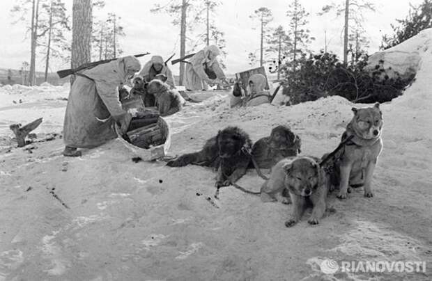 Редкие фотографии Великой Отечественной войны война, ссср, фото. великая отечественная война