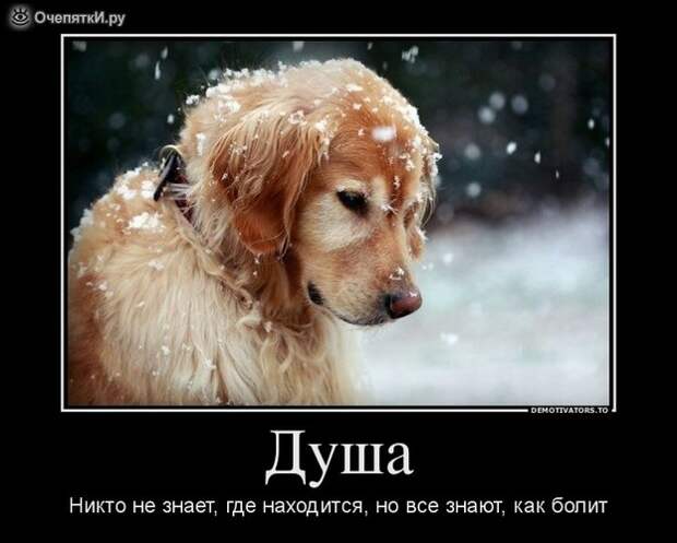 Дружба решает всё! 21