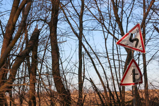 На Кубани матери погибшего участника СВО бесплатно выдали земельный участок, но он оказался занят арендатором
