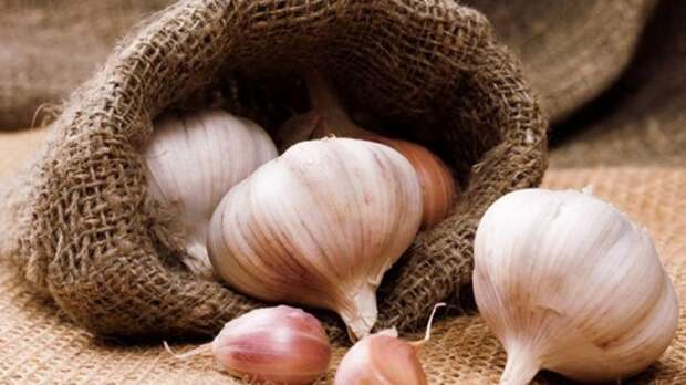garlic health 1