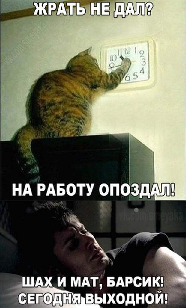 Разнообразная подборка =) Улыбок! Разнообразная подборка =) Улыбок!