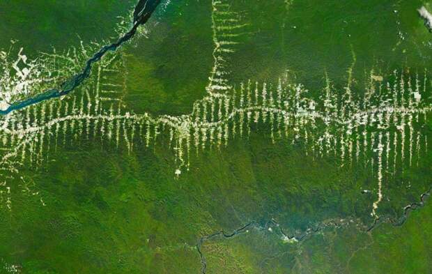 Обезлесение Амазонии, Бразилия