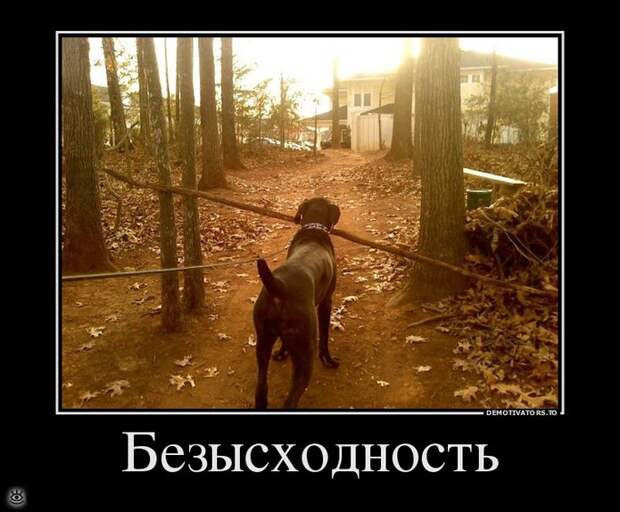 Безвозмездные демотиваторы 32
