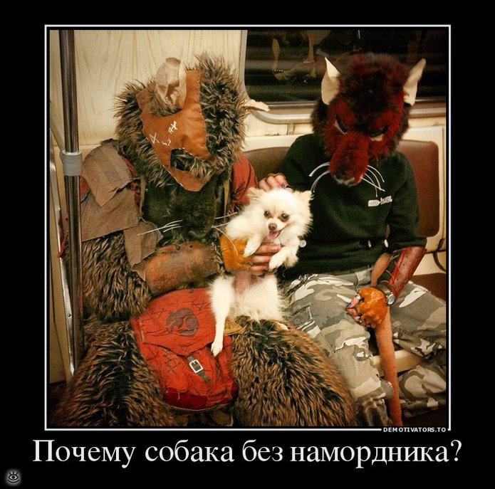 Посмеялись - и хватит 11