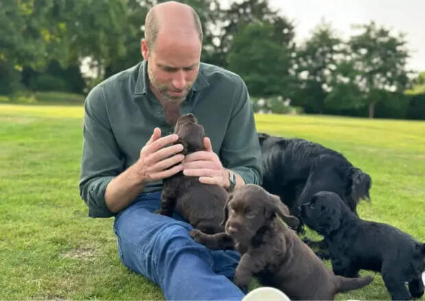 Принц Уильям