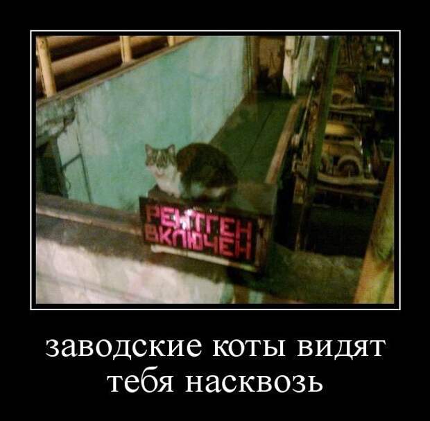 Ты не скроешься... Ты не скроешься... завод, прикол, рабочие