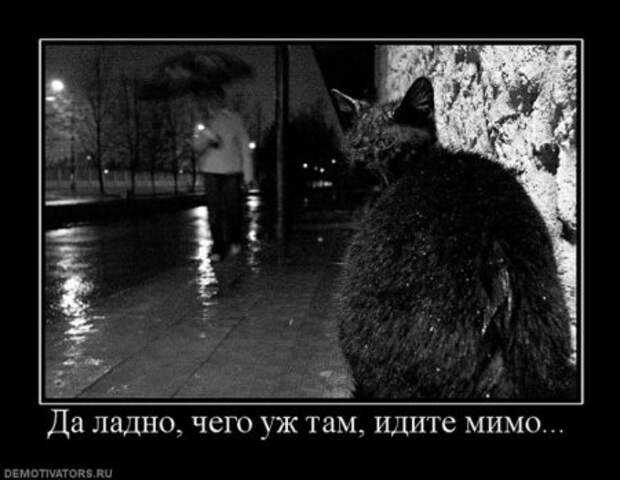 демотиваторы со смыслом обо всем.