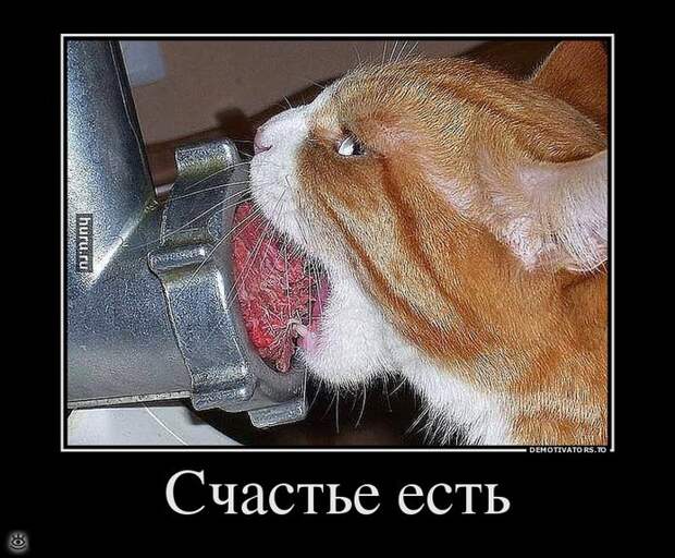 Бабье лето прошло! 36