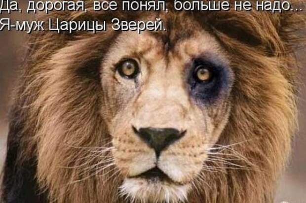 ЖИЗНЬ, КАК ОНА ЕСТЬ...(УЛЫБНЕМСЯ..)