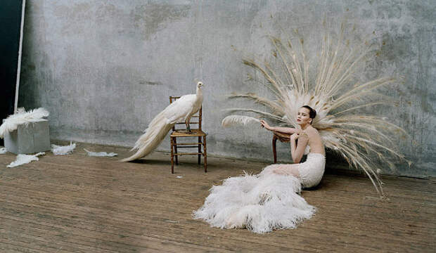 На эти работы можно засмотреться... Фотограф-сказочник Тим Уокер (Tim Walker)