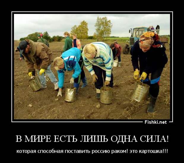 Демотиваторы  демотиваторы, прикол, смех, юмор