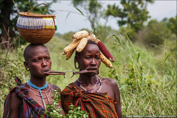 Mursi tribe / Племена с тарелками в губе Mursi tribe / Племена с тарелками в губе
