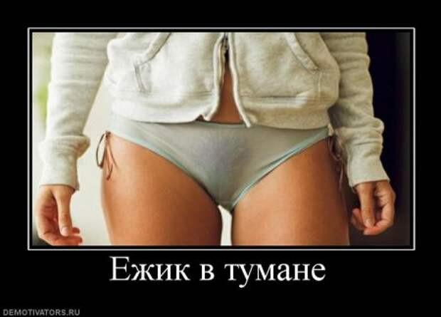 Демотиваторы с приколами на Поржать.ру