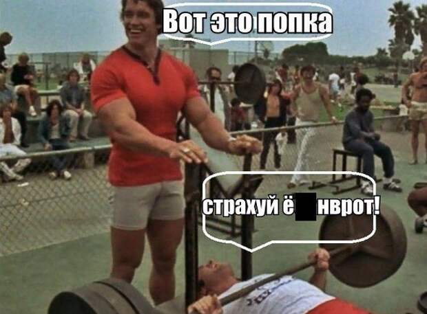Картинки со смешными подписями картинки, прикол, юмор