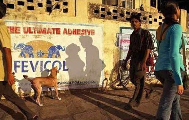 Фотогеничные "случайности" Фотогеничные "случайности"