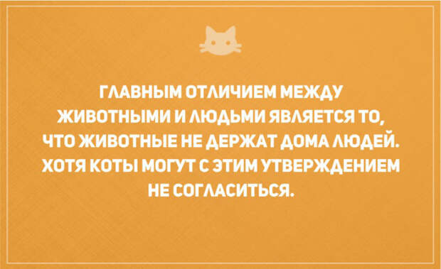 открытки о том, что без кота и жизнь не та (20)