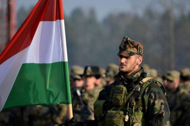 На Венгрию! Если фронт повалится, националисты ВСУ обещают отомстить Орбану