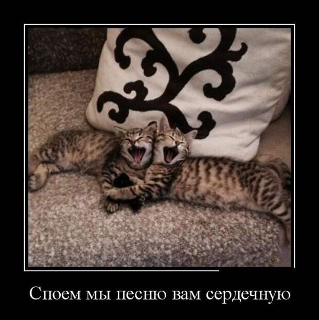 Демотиваторы демотиваторы, прикол, смех, юмор