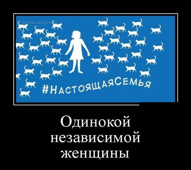 Демотиваторы (30 фото)