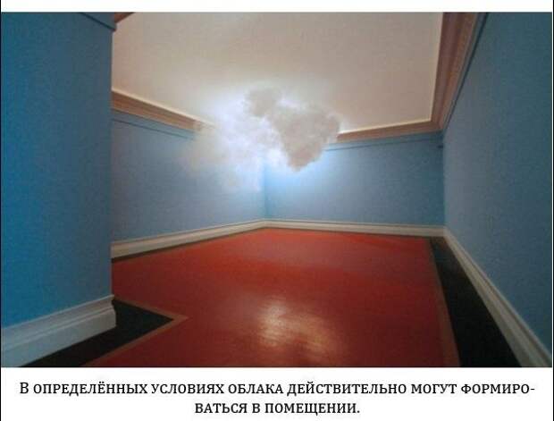 Настоящие снимки, которые не были обработаны (20 фото)
