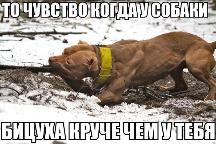 ПОДБОРКА ФОТОПРИКОЛОВ № 368