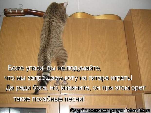 Лучшие котоматрицы недели