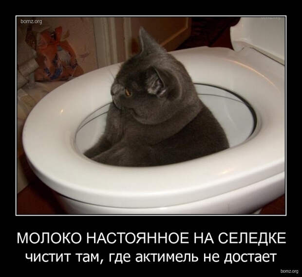 20 (700x644, 217Kb)