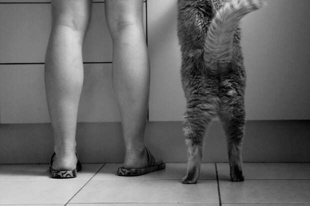 children-cat-playing-photography-13_result