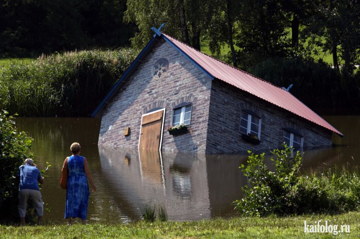 Фото приколы недели (4 - 10 августа 2014)