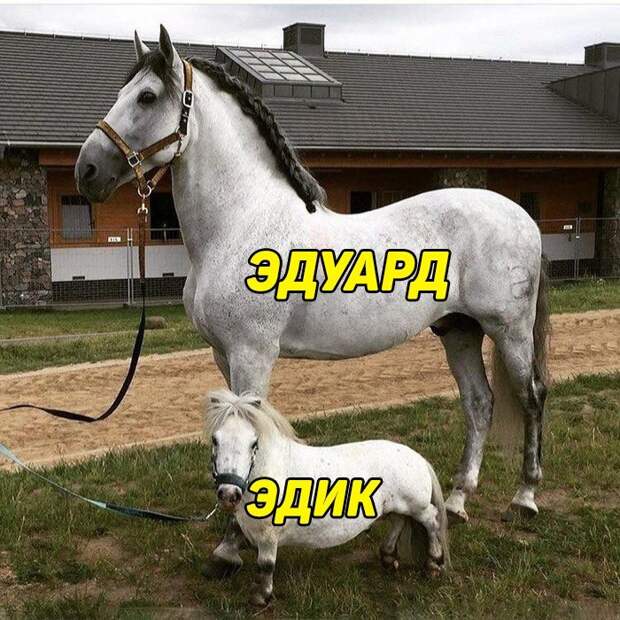 Лучшие приколы дня. Супервеселуха!