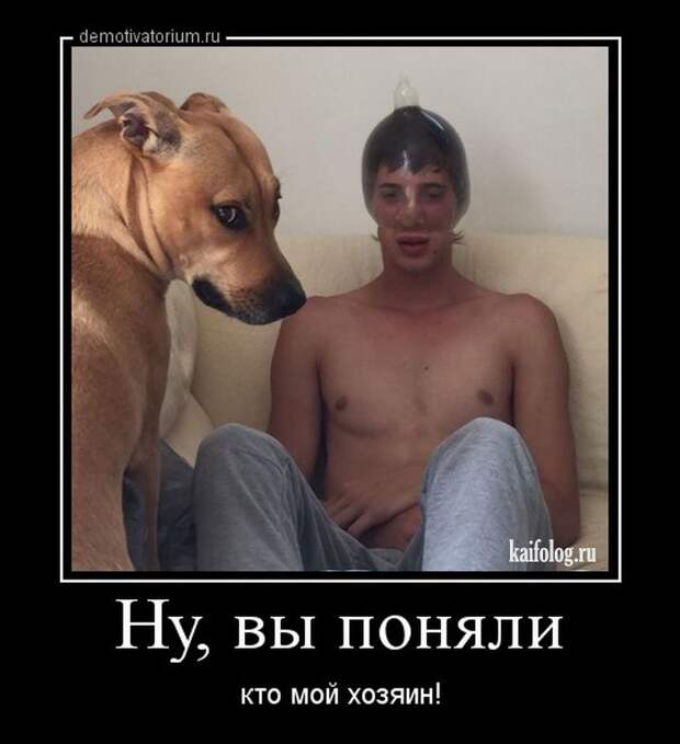 Смешные демы - 264 (50 картинок)