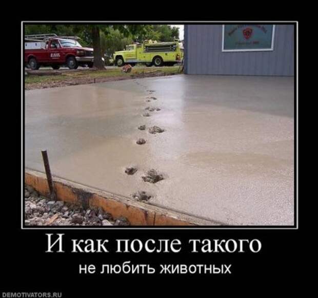 Смешные демотиваторы, веселые картинки с надписями!