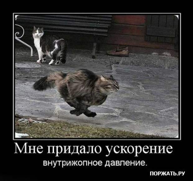 Демотиваторы (22 штуки)