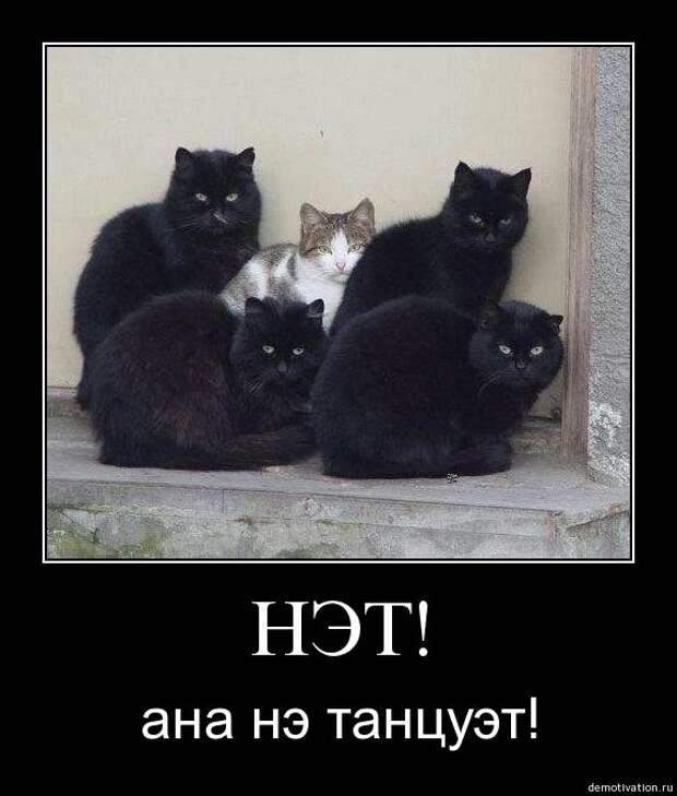 Демотиваторы для поднятия настроения!