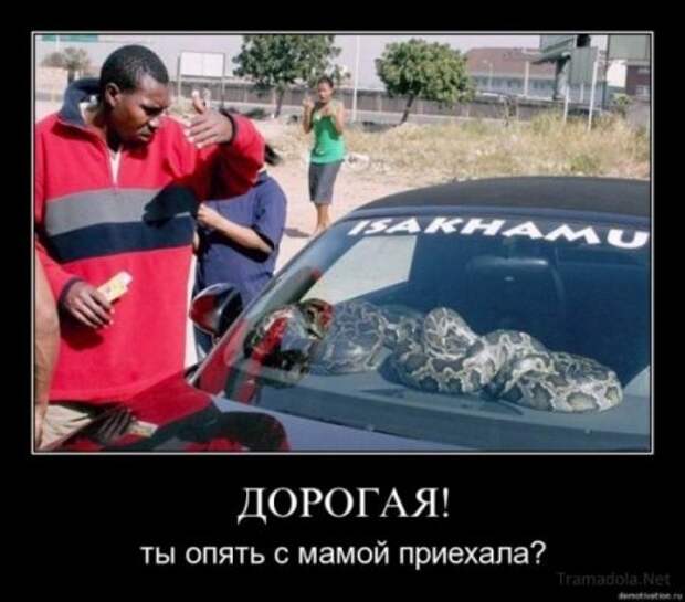 Подборочка смешных демотиваторов.